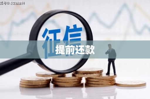 定陶提前还款