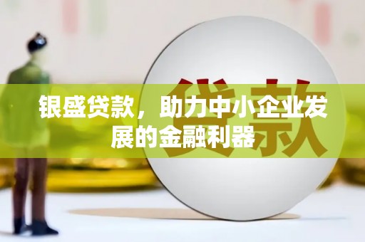 定陶银盛贷款，助力中小企业发展的金融利器