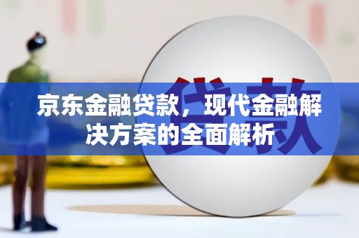 定陶京东金融贷款，现代金融解决方案的全面解析
