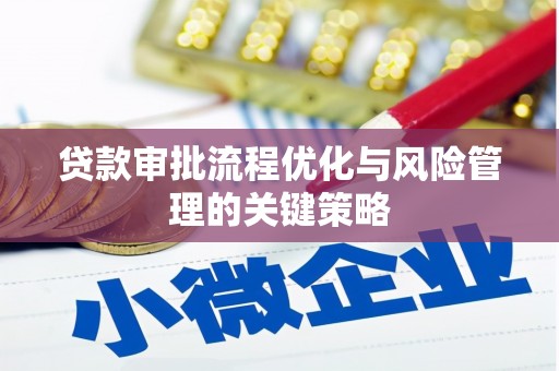 定陶贷款审批流程优化与风险管理的关键策略