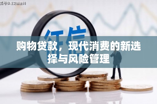 定陶购物贷款，现代消费的新选择与风险管理