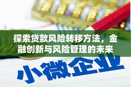 定陶探索贷款风险转移方法，金融创新与风险管理的未来