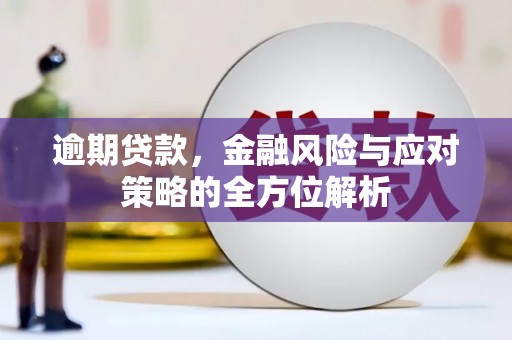 定陶逾期贷款，金融风险与应对策略的全方位解析