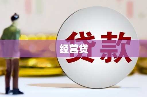 定陶经营贷