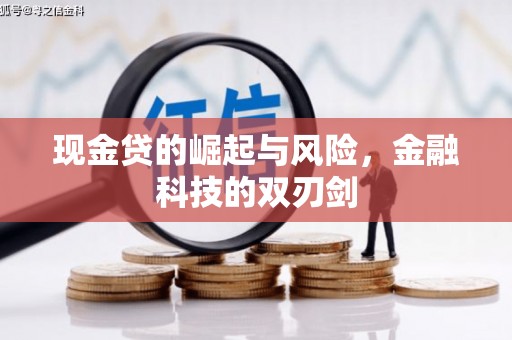 定陶现金贷的崛起与风险，金融科技的双刃剑