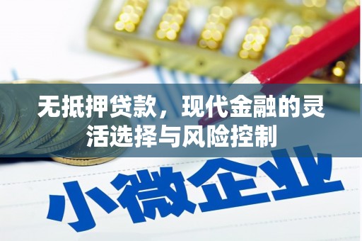 定陶无抵押贷款，现代金融的灵活选择与风险控制