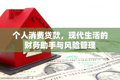 定陶个人消费贷款，现代生活的财务助手与风险管理