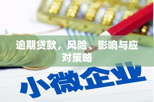 定陶逾期贷款，风险、影响与应对策略