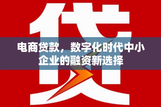 定陶电商贷款，数字化时代中小企业的融资新选择