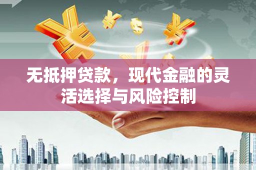 定陶无抵押贷款，现代金融的灵活选择与风险控制