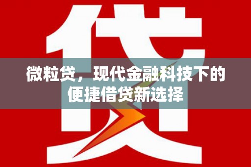 定陶微粒贷，现代金融科技下的便捷借贷新选择