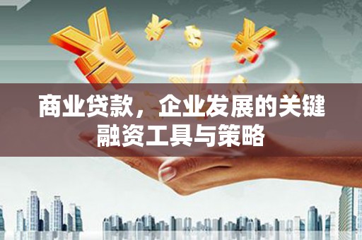 定陶商业贷款，企业发展的关键融资工具与策略