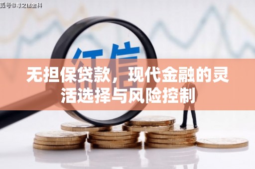 定陶无担保贷款，现代金融的灵活选择与风险控制