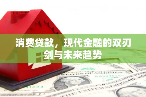 定陶消费贷款，现代金融的双刃剑与未来趋势