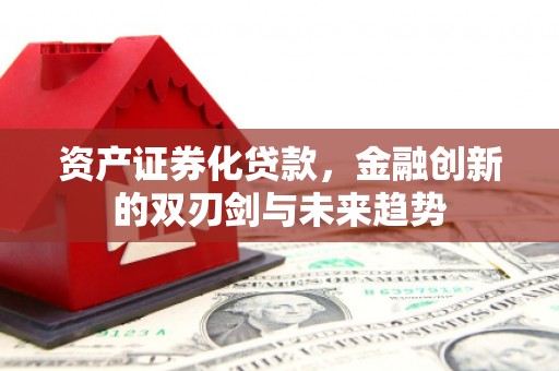 定陶资产证券化贷款，金融创新的双刃剑与未来趋势