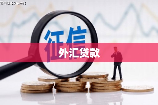 定陶外汇贷款