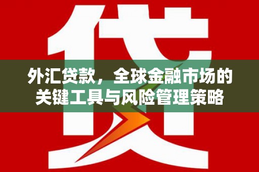 定陶外汇贷款，全球金融市场的关键工具与风险管理策略