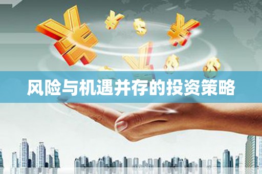 定陶风险与机遇并存的投资策略