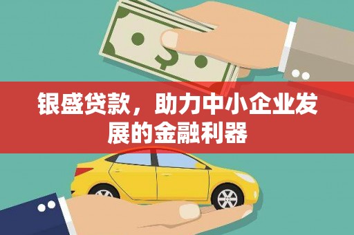 定陶银盛贷款，助力中小企业发展的金融利器