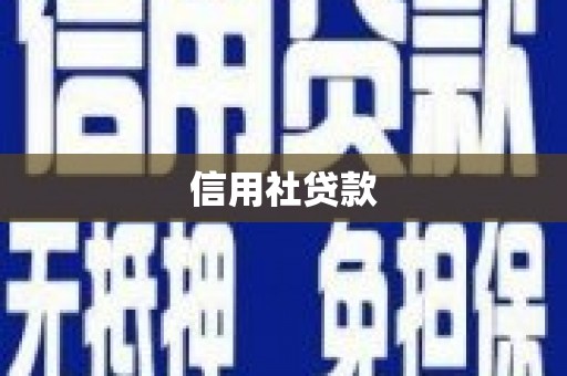 定陶信用社贷款