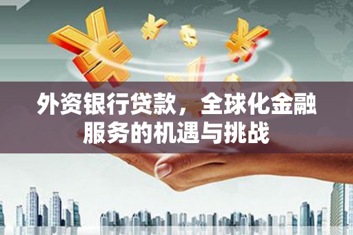 定陶外资银行贷款，全球化金融服务的机遇与挑战