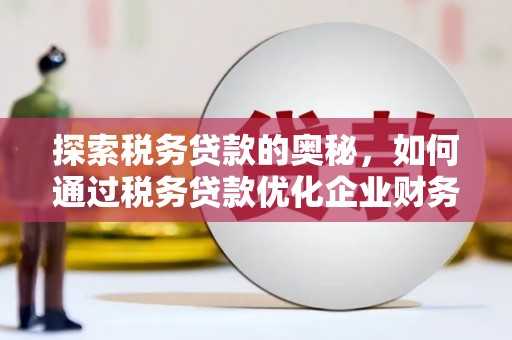 定陶探索税务贷款的奥秘，如何通过税务贷款优化企业财务