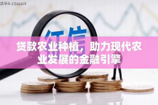 定陶贷款农业种植，助力现代农业发展的金融引擎