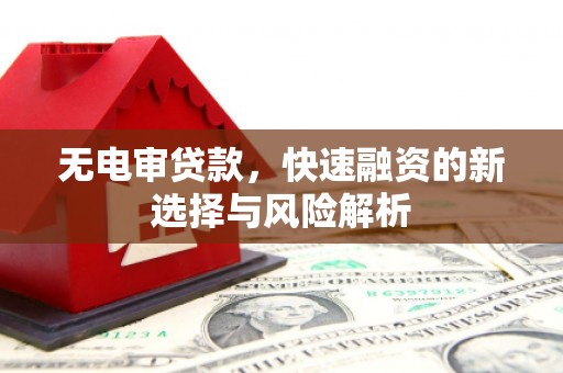 定陶无电审贷款，快速融资的新选择与风险解析