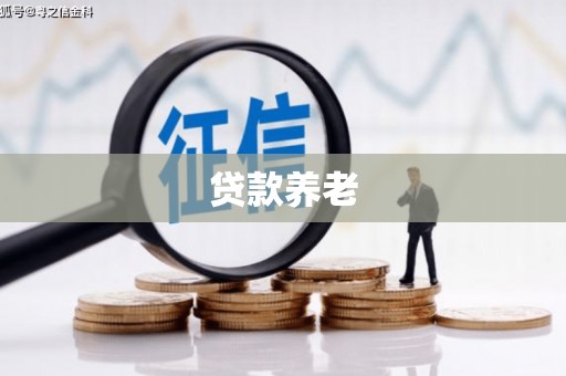 定陶贷款养老