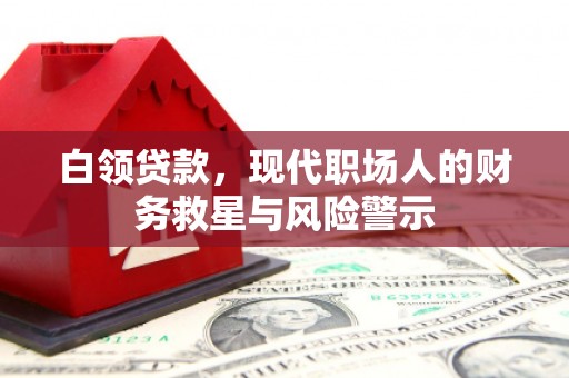 定陶白领贷款，现代职场人的财务救星与风险警示