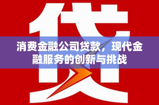定陶消费金融公司贷款，现代金融服务的创新与挑战