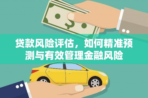 定陶贷款风险评估，如何精准预测与有效管理金融风险