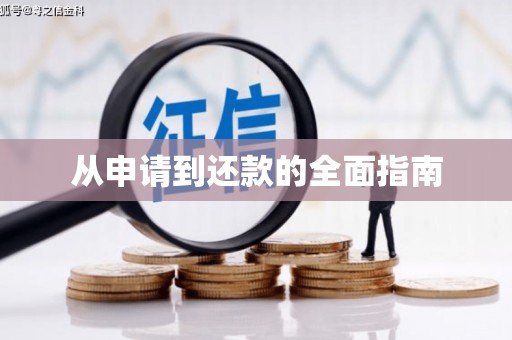 定陶从申请到还款的全面指南