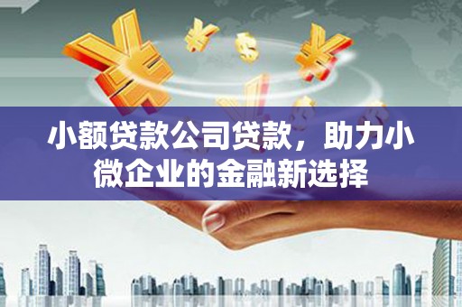 定陶小额贷款公司贷款，助力小微企业的金融新选择