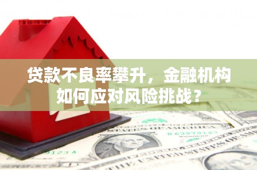 定陶贷款不良率攀升，金融机构如何应对风险挑战？