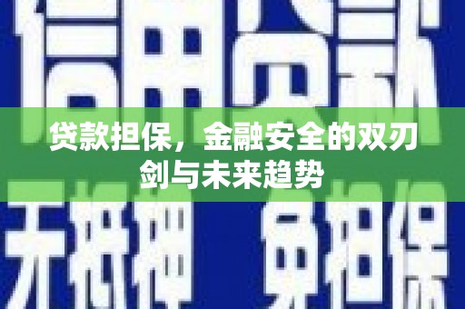 定陶贷款担保，金融安全的双刃剑与未来趋势