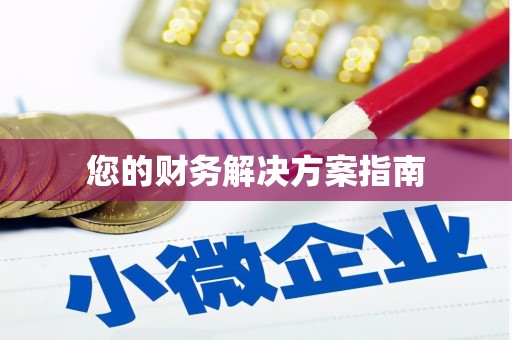 定陶您的财务解决方案指南