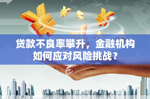 定陶贷款不良率攀升，金融机构如何应对风险挑战？