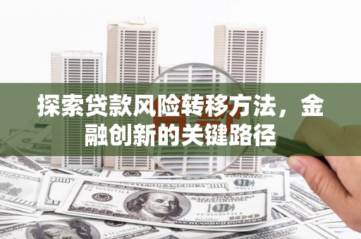 定陶探索贷款风险转移方法，金融创新的关键路径