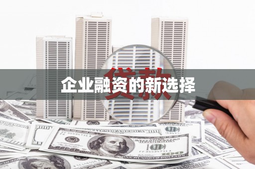 定陶企业融资的新选择
