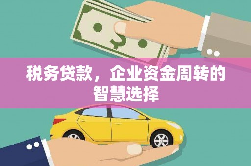 定陶税务贷款，企业资金周转的智慧选择