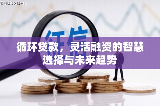 定陶循环贷款，灵活融资的智慧选择与未来趋势