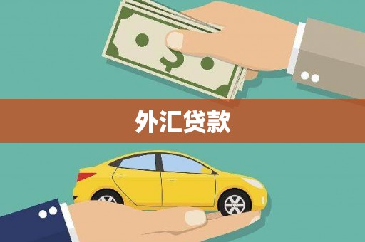 定陶外汇贷款