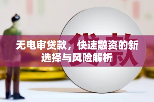 定陶无电审贷款，快速融资的新选择与风险解析