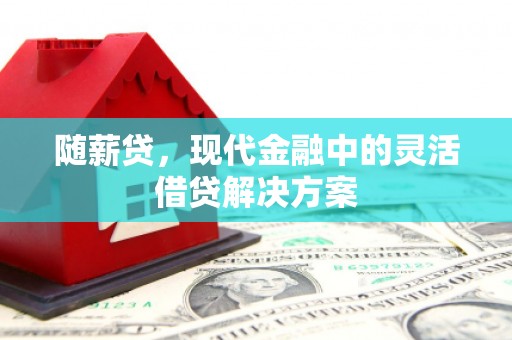 定陶随薪贷，现代金融中的灵活借贷解决方案