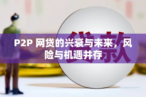 定陶P2P 网贷的兴衰与未来，风险与机遇并存