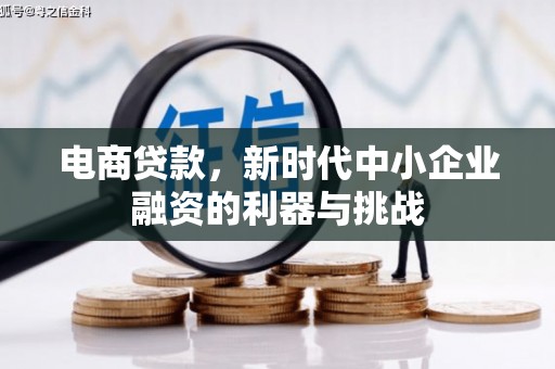 定陶电商贷款，新时代中小企业融资的利器与挑战