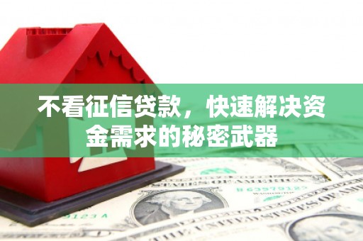 定陶不看征信贷款，快速解决资金需求的秘密武器