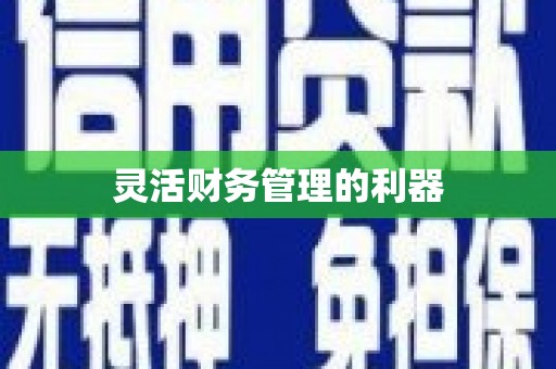 定陶灵活财务管理的利器