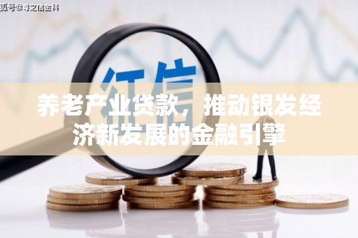 定陶养老产业贷款，推动银发经济新发展的金融引擎